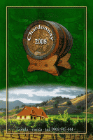 /album/moje-prace/etiketa-chardonay2008-gif2/